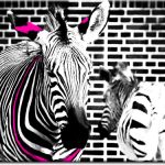 obraz zebra