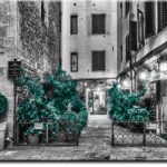 pojedynczy obraz z kwiatami i kamienicami